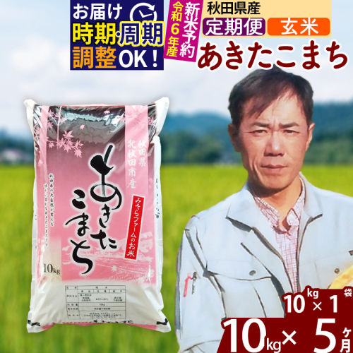 ※令和6年産 新米予約※《定期便5ヶ月》秋田県産 あきたこまち 10kg【玄米】(10kg袋) 2024年産 お届け時期選べる お届け周期調整可能 隔月に調整OK お米 みそらファーム