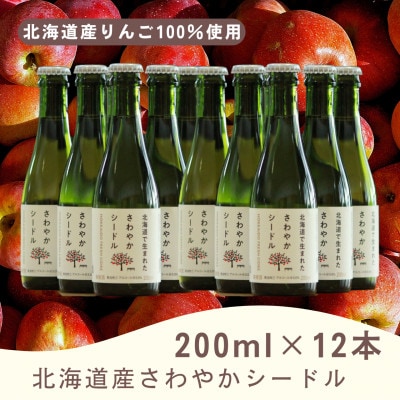 【北海道産りんご100%使用】北海道産さわやかシードル200ml×12本セット
