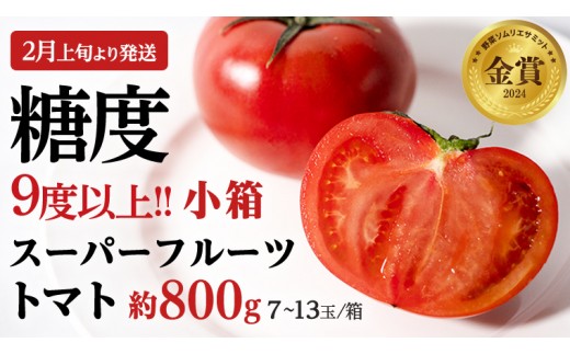 
                  《 2027年 収穫分 》4～5月配送 スーパーフルーツトマト 小箱 約800g × 1箱  (7～13玉/1箱) 糖度9度以上 先行予約 茨城県 桜川市 KEK 国産 トマト フルーツトマト ブランドトマト 野菜 ギフト 贈答 青空レストラン アド街ック天国 グッドモーニング 黄金のワンスプーン 昼めし旅 [BC068sa0405]
                
