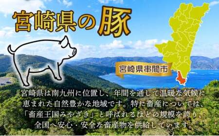 ＜2025年11月発送分＞宮崎県産 豚肉切り落とし 250g×20パック 合計5kg