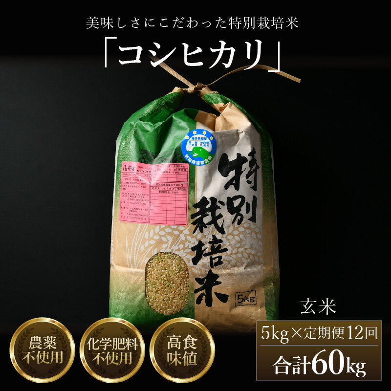 【ふるさと納税】【先行予約】【令和8年産 新米】定期便《12ヶ月連続お届け》コシヒカリ 玄米 5kg （計60kg）特別栽培米 農薬不使用 化学肥料不使用 ／ 残留農薬ゼロ 高品質 鮮度抜群 福井県産 ブランド米 ※2026年10月上旬以降順次発送
