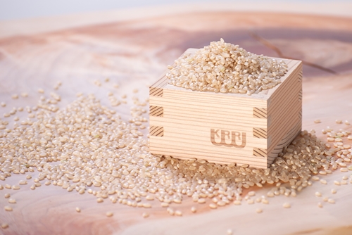 玄米麺 大和当帰 葛入り 1袋 ／ 樞 クルル 栽培期間中 農薬不使用 麺類 環境に優しい エシカル ・ サスティナブル SDGs 和風 麺 料理 薬草 大和 当帰葉 葛 くず 奈良県 宇陀市