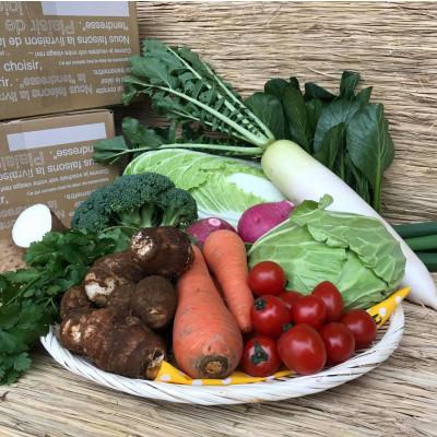 ふるさと納税 鹿嶋市 『身体が喜ぶ野菜』(おまかせ10〜12品) |  | 03