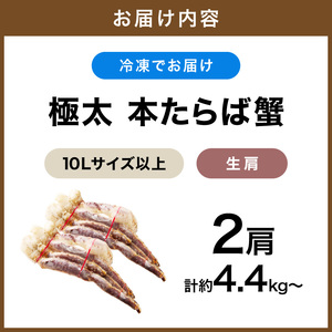 【2肩約5kgの超極太10L以上メガサイズ】一番人気！ 本たらば蟹 生肩 約5kg【ふるさと納税3.0】【087A-005】