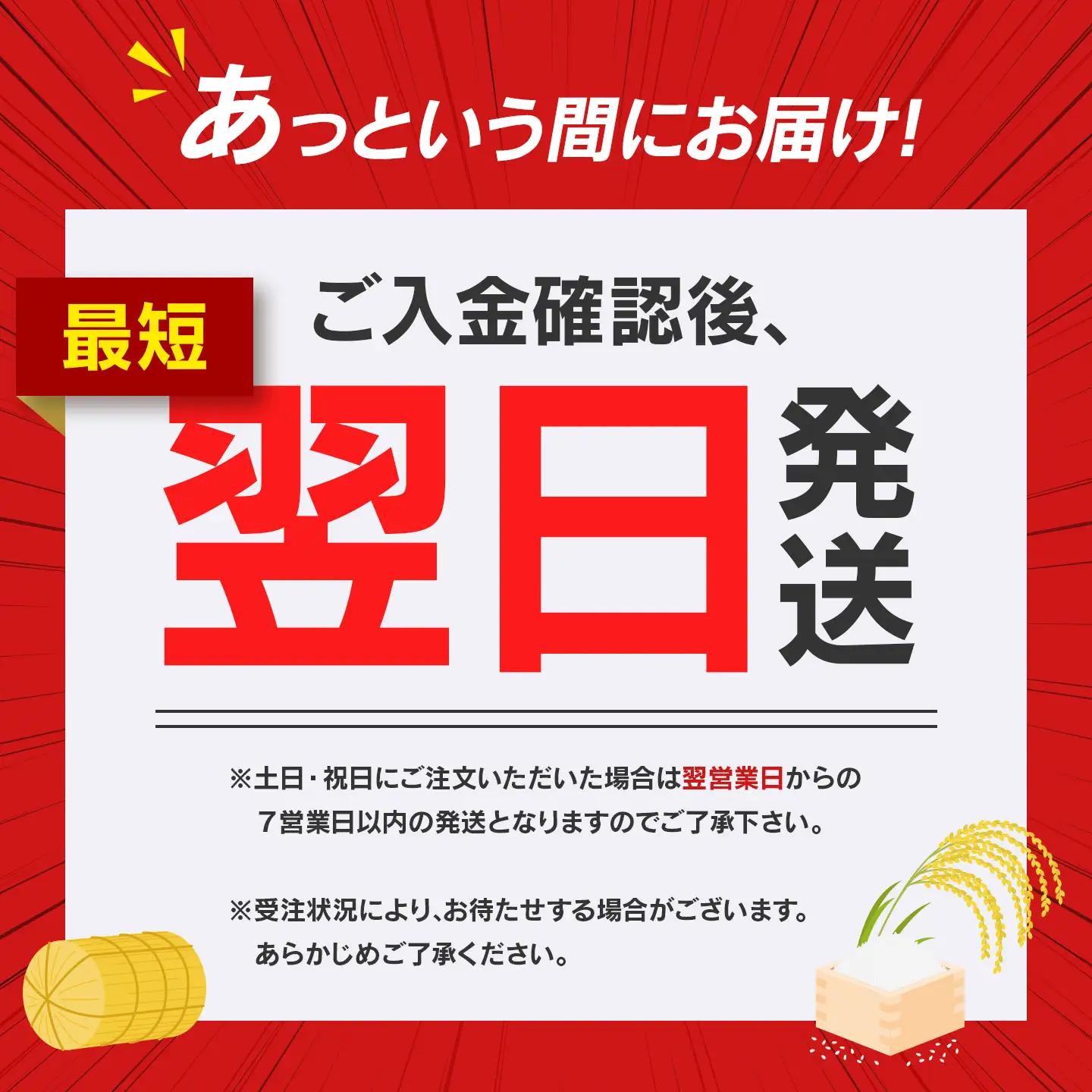 米 令和7年産米 北海道産ななつぼし米 白米 10kg（5kg×2) 