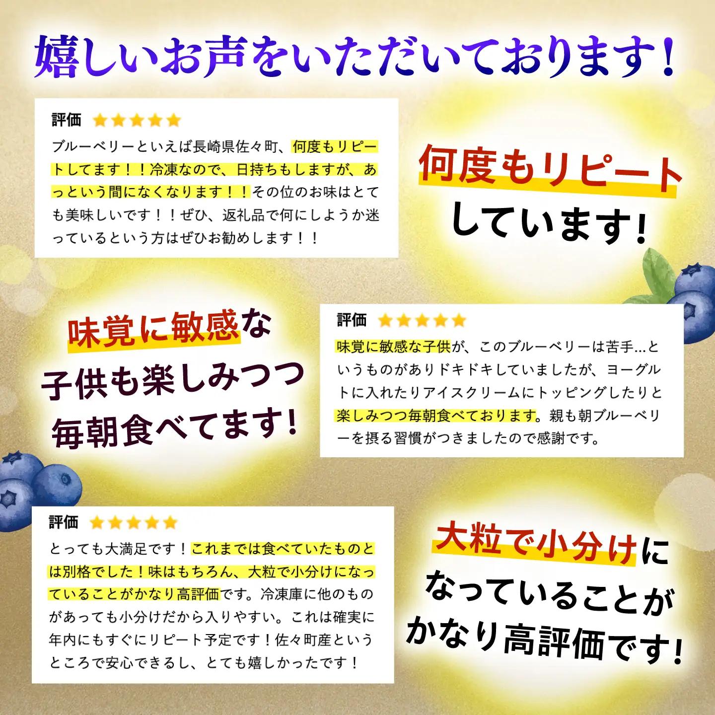 冷凍ブルーベリー 計1.2kg フルーツ ベリー 果物 小分け QAT017