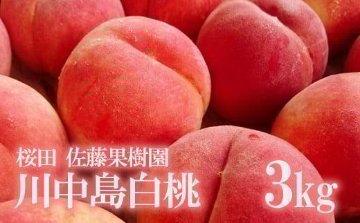 No.1202福島の桃　「川中島白桃」約3kg【2026年発送 先行予約】