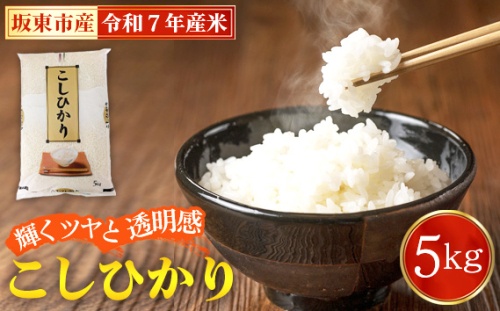 No.848 令和7年産　こしひかり5kg【坂東市産】 ／ コシヒカリ お米 こめ 茨城県