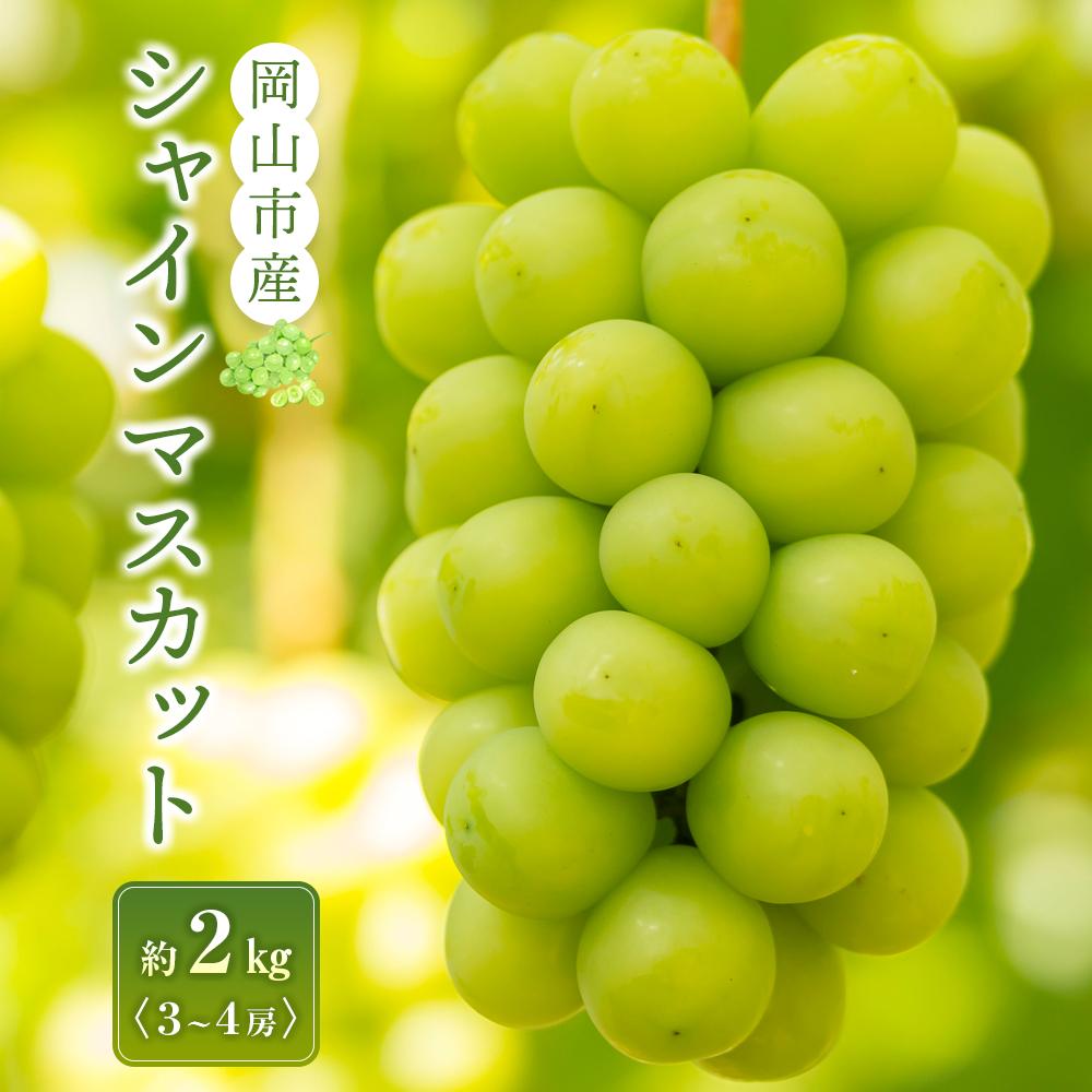 【ふるさと納税】シャインマスカット 3～4房入り 合計約2kg ぶどう 葡萄 フルーツ 果物 岡山市産 2026年 | フルーツ 果物 くだもの 食品 人気 おすすめ 送料無料