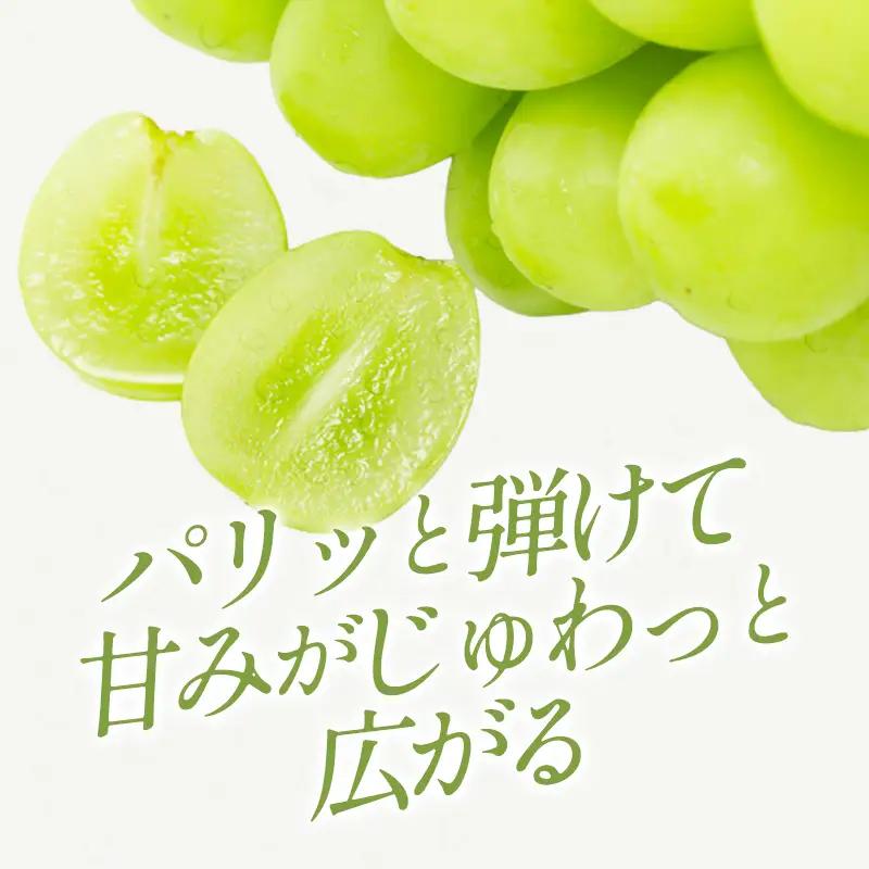 C-1180 冬季シャインマスカット 2kg