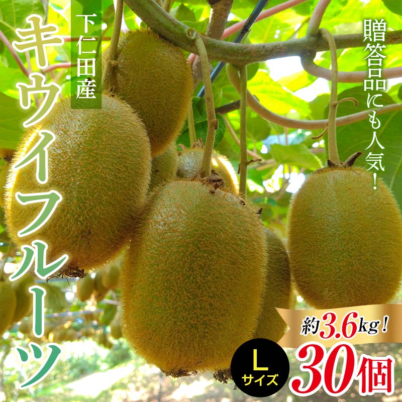 【ふるさと納税】2年連続受賞「A品数量限定」下仁田町のキウイフルーツ 約3.6kg(1玉 Lサイズ 115g以上) キウイ フルーツ キウイフルーツ デザート 果物 贈答品としても人気！ F21K-448