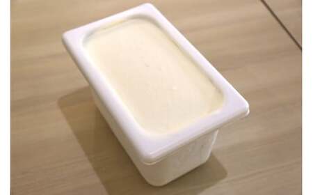 落葉樹色のジェラート 4L カムイミンタルの塩（ソルト）【株式会社クーバル】 アイス ソルト 塩 米粉 スイーツ 大容量 業務用 北海道 [AXBQ006]