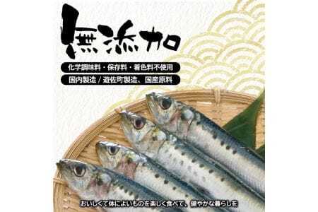 787　じっくりコトコト丁寧に煮込んだ「国産いわしの佃煮」2尾×10パック