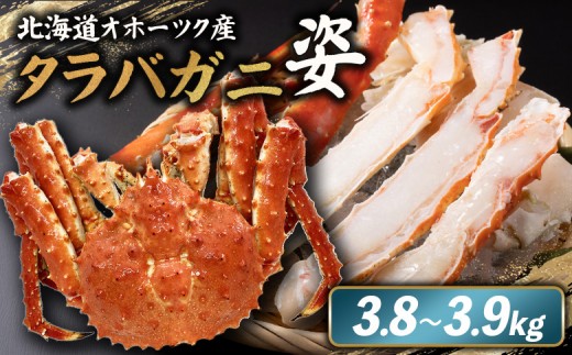 
                  北海道オホーツク産 冷タラバガニ姿　3.8～3.9kg | オンライン申請 ふるさと納税 北海道 雄武 北海道産タラバガニ タラバ カニ かに 蟹 冷凍 海産 海産物 ギフト 贈り物 お取り寄せ ワンストップ マイページ 雄武町【1241701】
                