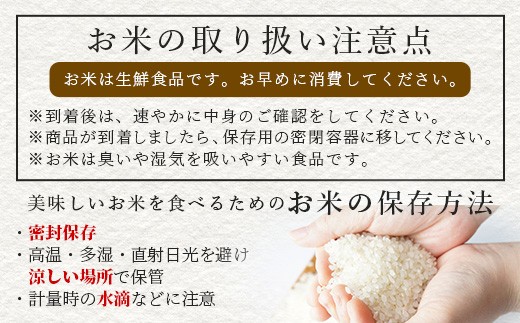 【令和7年度産 新米】球磨産 くまさんの輝き 精米 5kg