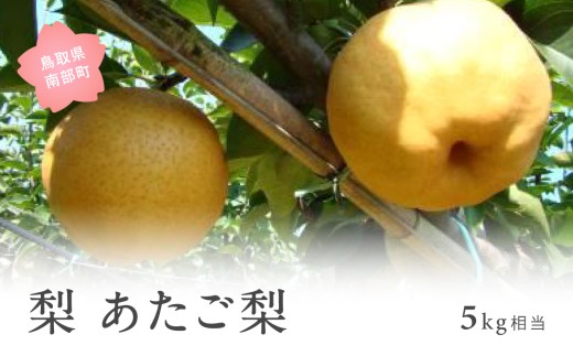 【YA10】あたご梨（5kg箱） 2026年11月出荷予定 ＜数量限定＞【先行予約】