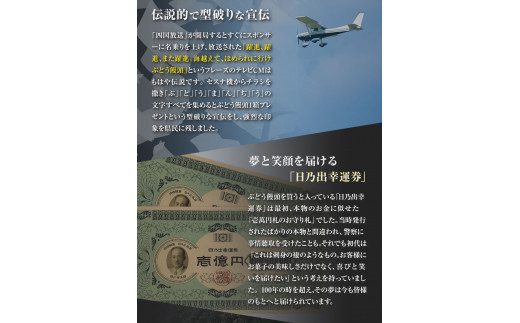 ぶどう饅頭 25本 (5本入り5袋) 《30日以内に出荷予定(土日祝除く)》有限会社日乃出本店 徳島県 阿波 ブドウ 饅頭 飴 ミルク 自家製あん 老舗 和菓子 剣山 穴吹川 贈り物 衛生的 個包装 