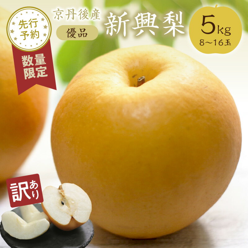 【ふるさと納税】高レビュー★ 【先行予約／数量限定100】【訳あり】新興梨 優品 5kg（8～16玉入り）（2025年10月上旬～発送） 国産 8〜16個 玉 ふるさと 納税 梨 なし ナシ 期間限定 ふるさと 納税 訳あり 規格外 ふるさと 納税 フルーツ くだもの 果物 農家直送
