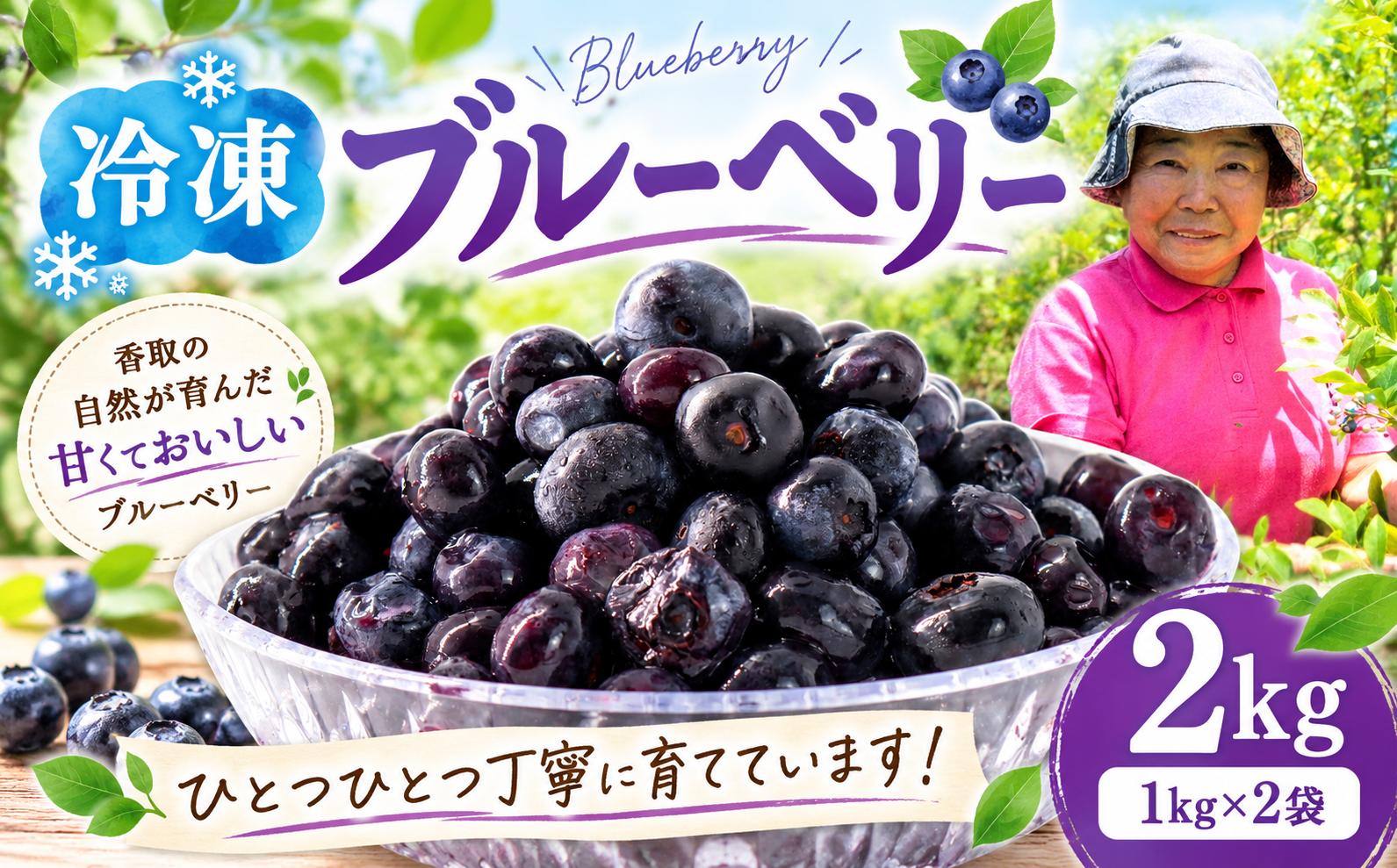 
                  冷凍ブルーベリー 約2kg ( 1kg × 2袋 ) ジャム ぶるーべりー 冷凍 ブルーベリー 冷凍フルーツ 国産 産地直送 果物 フルーツ くだもの スムージー じゃむ 完熟 お取り寄せ おすすめ オススメ 千葉県 香取市 BBO001
                