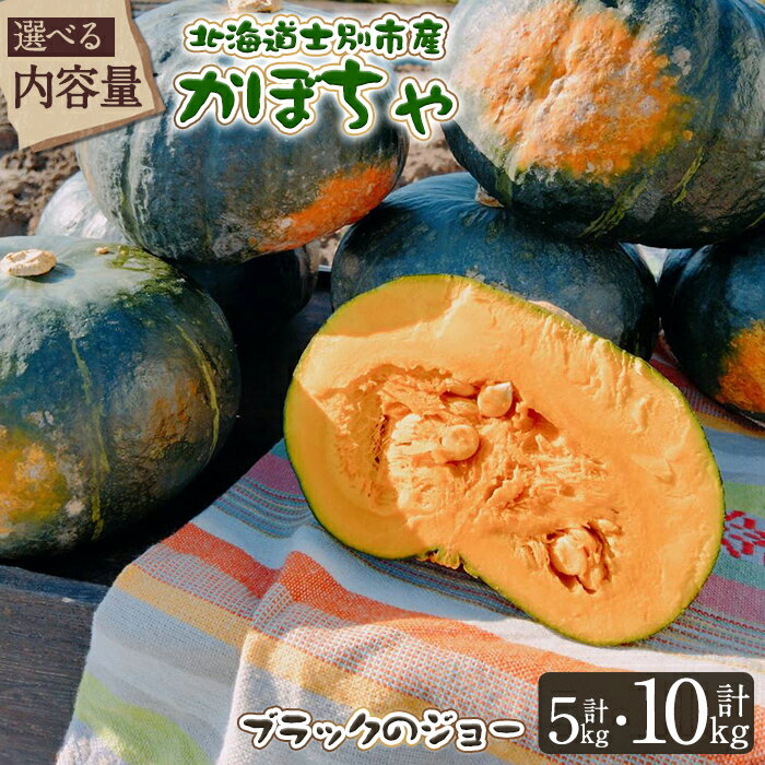 【ふるさと納税】＜先行予約受付中・選べる内容量＞北海道士別市産 かぼちゃ ブラックのジョー (5kg・2~4玉 / 10kg・5~8玉) 【2025年10月から12月の間に順次発送】かぼちゃ 南瓜 カボチャ 北海道産 国産 野菜 やさい 甘み 産地直送 おかず 味覚の秋【やぶかわ農園】