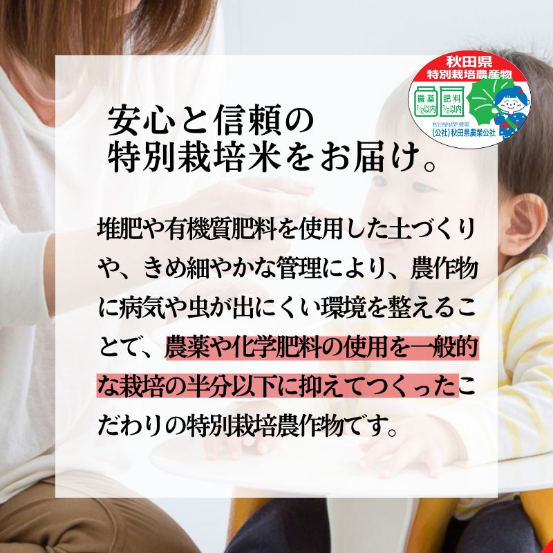 《定期便4ヶ月》 新米 白米 特別栽培米 秋田県産 あきたこまち 米屋が認めたお米 「かとうくん」20kg（5kg×4袋）×4回 合計80kg