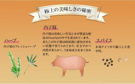 内子からり直送！ドイツ仕込みの「内子豚ソーセージ5種セット」【ソーセージ 愛媛 BBQ 人気ソーセージ 美味しい ソーセージ 愛媛県 ソーセージ 肉汁 豚肉ソーセージ アウトドアソーセージ 大人気ソー