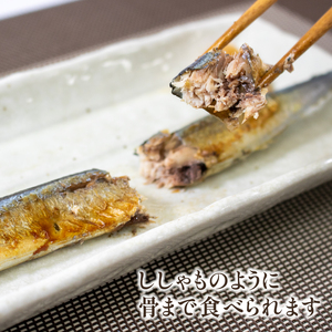 極小 さんま 2kg 1kg×2袋 秋刀魚 旬 海鮮 魚貝類 魚介類 冷凍 焼き魚 三陸産 岩手県 大船渡市