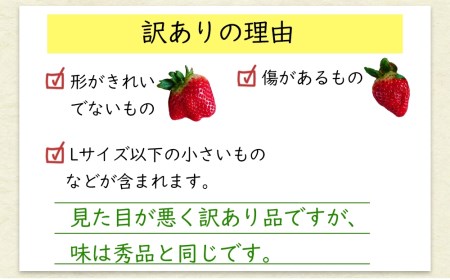 【期間限定発送】訳あり いちご 恋みのり 4パック（1kg以上） 朝どれ シャインファームから直送 数量限定 [吉岡青果 長崎県 雲仙市 item1498] イチゴ 苺 果物 フルーツ