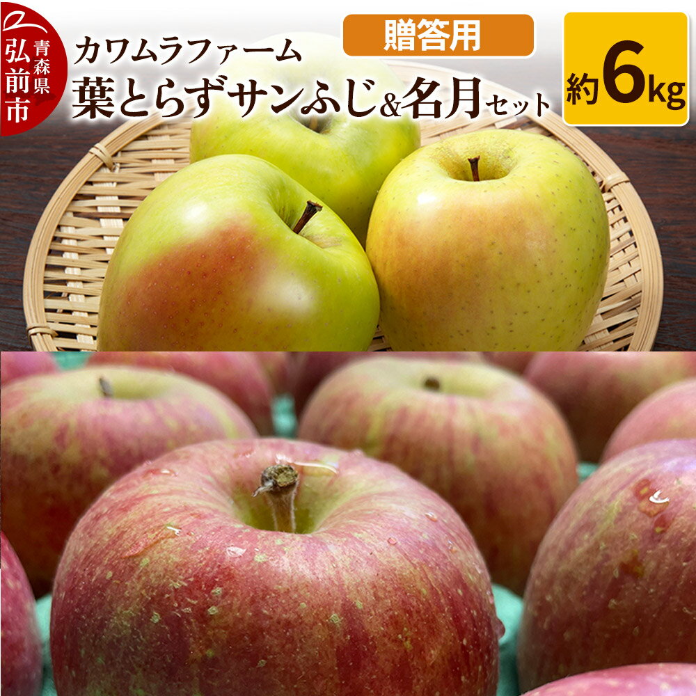 【ふるさと納税】りんご【先行受付】葉とらず サンふじ & 名月 セット 約6kg カワムラファーム 贈答用