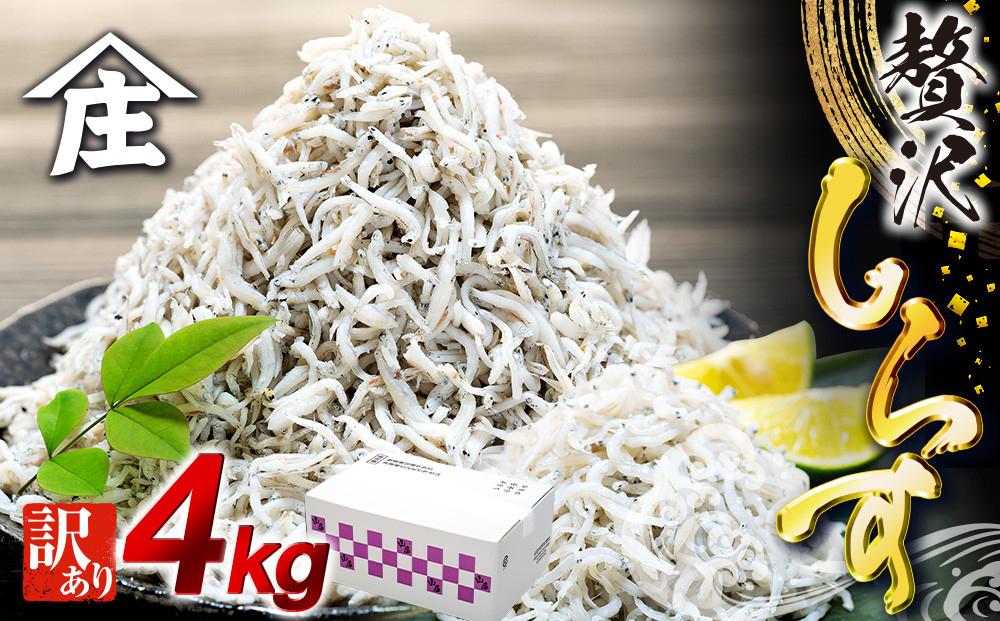 
            しらす 4kg ( 1kg × 4箱 ) 訳あり 冷凍 ちりめん しらす干し 減塩 釜揚げ ごはん 丼 パスタ チャーハン サラダ 魚 シラス sirasu shirasu しらすごはん シラス しらす しらす丼 shirasu sirasu SIRASU 人気シラス 海鮮 魚 魚貝 しらす料理 シラスパスタ 料理 山庄 愛知県 南知多町 師崎
          