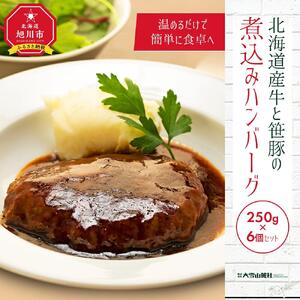 北海道産牛と笹豚の煮込みハンバーグ250g×6個セット | ハンバーグ _00121