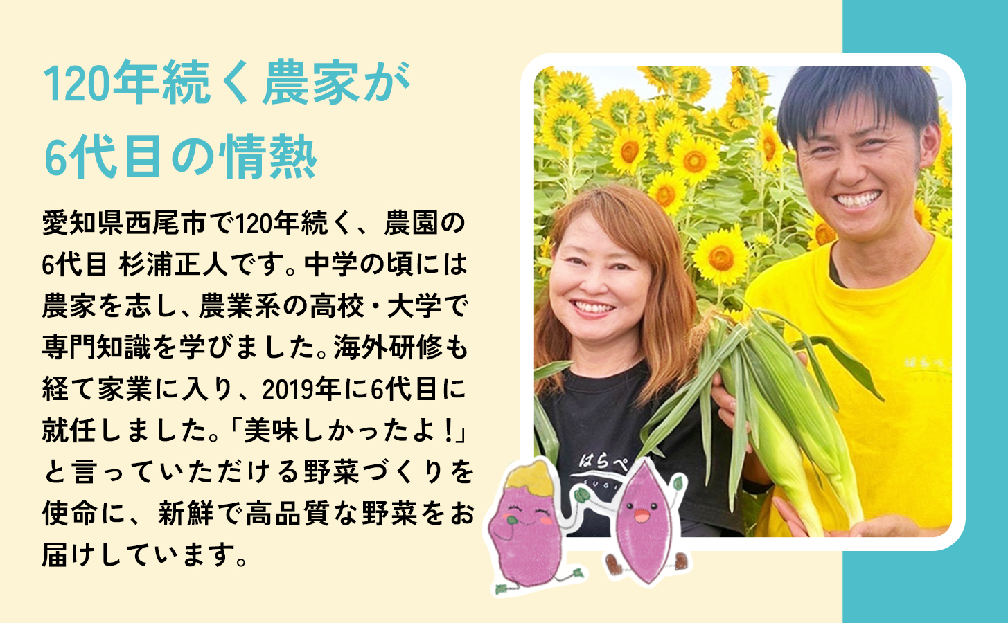 【ねっとり甘い蜜芋】さつまいも 紅はるか（4.5kg×3箱）合計13.5kg・H104