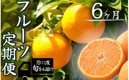 湯の花　みかんメインで贈るフルーツ6回の定期便　【みかん 果物 フルーツ 旬 柑橘 甘い 新鮮 定期便】　<BC-55>