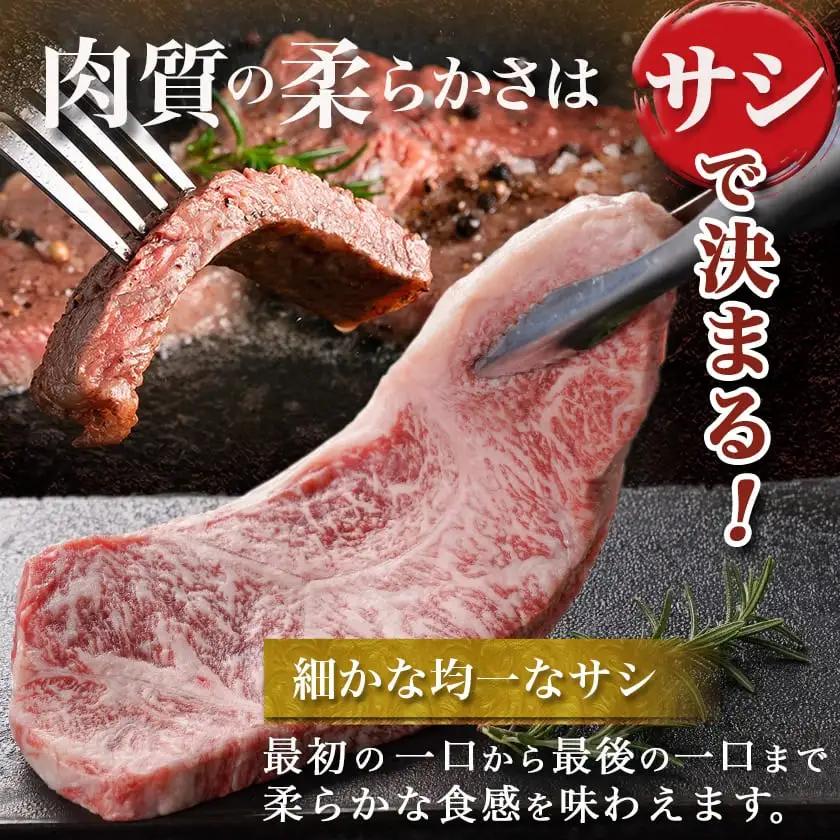 宮崎牛サーロインステーキ(200g×2枚)〔AC-N401〕_(都城市) ステーキ 牛肉 宮崎牛 和牛 国産 サーロイン 400g 贈答用 ギフト