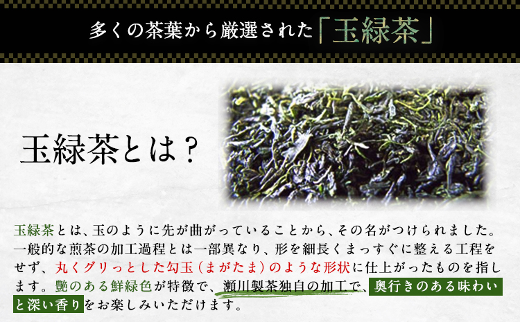 特撰 玉緑茶 たまりょくちゃ 一番茶 100g×8本 熊本県 大津町産 株式会社 瀬川製茶《60日以内に出荷予定(土日祝除く)》