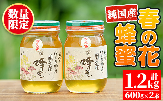 
                  No.386 鹿児島春の花の蜂蜜 国産百花蜜(600g×2・計1.2kg) 国産 はちみつ ハチミツ 蜂蜜 花はちみつ 花ハチミツ 調味料 セット ギフト 贈答 プレゼント【伊集院物産】【386】【444】
                