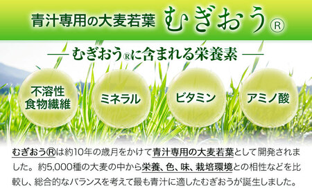 【定期便】緑効青汁 1箱 3.5g×90袋 12ヶ月 定期《お申込み月の翌月から出荷開始》大麦若葉 青汁 むぎおう 使用 健康 ロングセラー