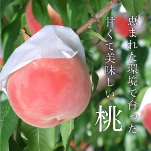 【2024年7月より順次発送】美味しい山梨の桃　2kg・6～8玉【022-003】