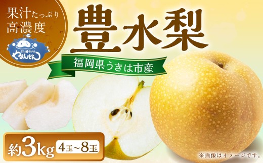 【先行予約】 やまんどん 豊水梨 4玉から8玉 （約3kg） 【2026年8月下旬～9月上旬より順次発送予定】 梨 なし ナシ 豊水 ほうすい 果物 くだもの フルーツ 果実 ジューシー お取り寄せ 福岡県 うきは市 冷蔵