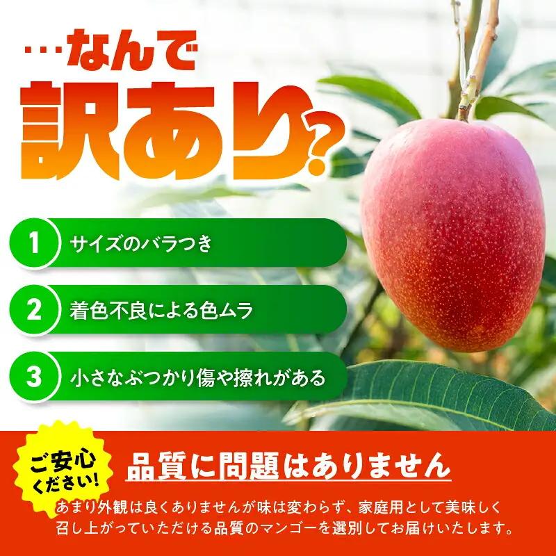 【 2027年 先行予約 】【 訳あり 】 甘い香り の 贈り物 ！ 山下農園 の 完熟アップルマンゴー 1kg （ 2～3玉 ） W063-004-01 わけあり 期間限定 果物 マンゴー
