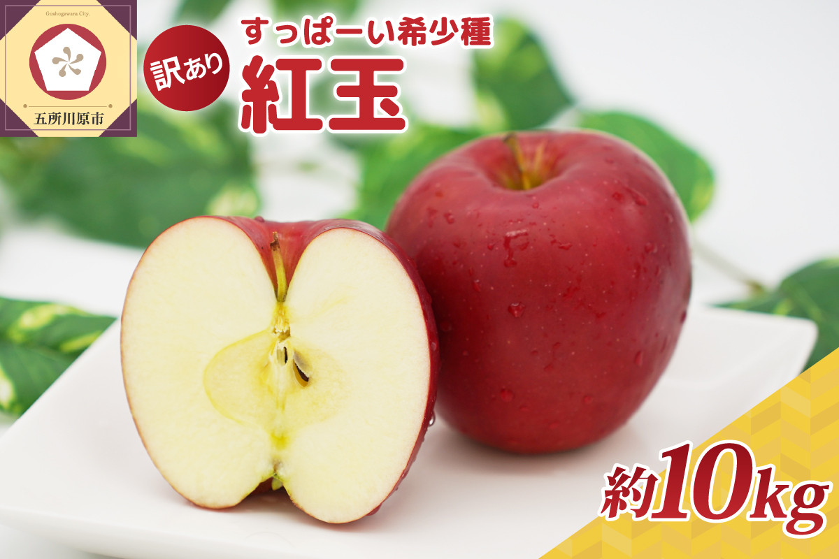 
紅玉10kg 程度 紅玉リンゴ 訳あり 青森|タルトタタン に最適 不揃い りんご 11月 12月 1月 2月 3月 【発送時期が選べる】
