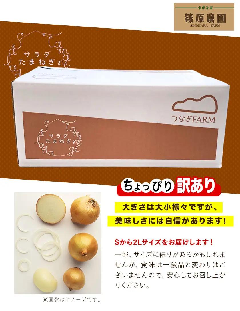 玉ねぎ サラダ 3kg 玉ねぎ