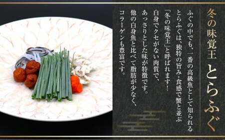 【2026年1月1日着】 長崎とらふぐ刺身 2人前 ／ とらふぐ ふぐ フグ 刺身 刺し身 魚 さかな 高級魚 セット 産地直送 九州 長崎県産 長崎県 長崎市 冷蔵