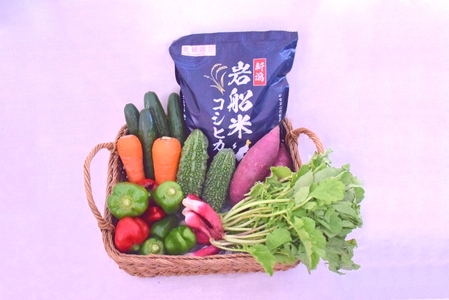 【令和7年産米】新潟県村上市 岩船産コシヒカリ5kgと季節の野菜セット②　B4026 