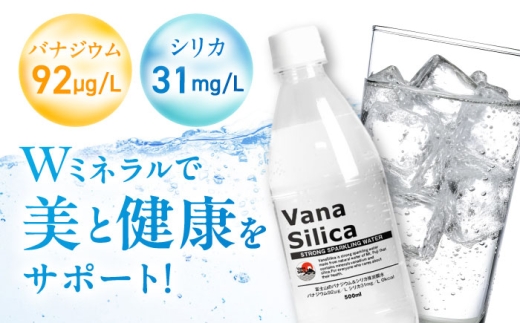 炭酸 強炭酸 炭酸水 大容量 ハイボール 割り材 割材 ペットボトル お水 飲料 ドリンク 飲み物 備蓄 シリカ
