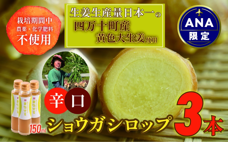 【ANA限定】栽培期間中農薬・化学肥料不使用の黄色大生姜を使った辛口ショウガシロップ3本／Fmf-06