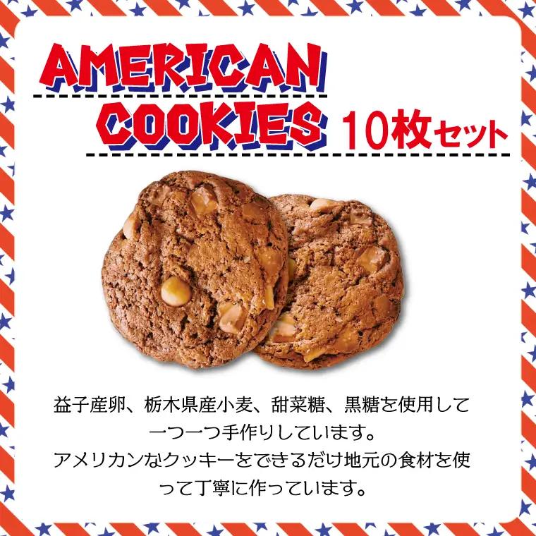クッキー 焼き菓子 おまかせEnjoyセット CF002-1