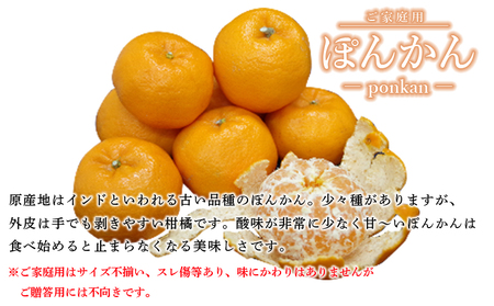 先行予約＜愛媛県西予市産 ぽんかん ご家庭用 約4kg＞約15～30個入り 訳あり 果物 くだもの フルーツ みかん ミカン オレンジ ポンカン 柑橘 特産品 愛媛県 西予市【常温】『2026年1月上