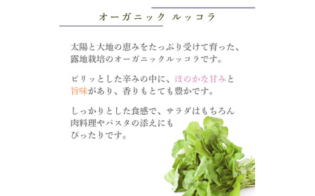 オーガニック ルッコラ 500g オーガニック ルッコラ