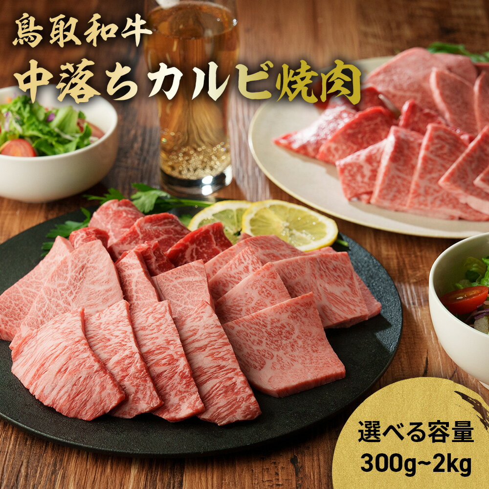 【ふるさと納税】鳥取和牛 中落ちカルビ焼肉 300g～2kg(500g×4) ブランド牛 牛肉 焼き肉 焼肉 和牛 黒毛和牛 肉 カルビ バラ BBQ 冷凍 鳥取県 倉吉市